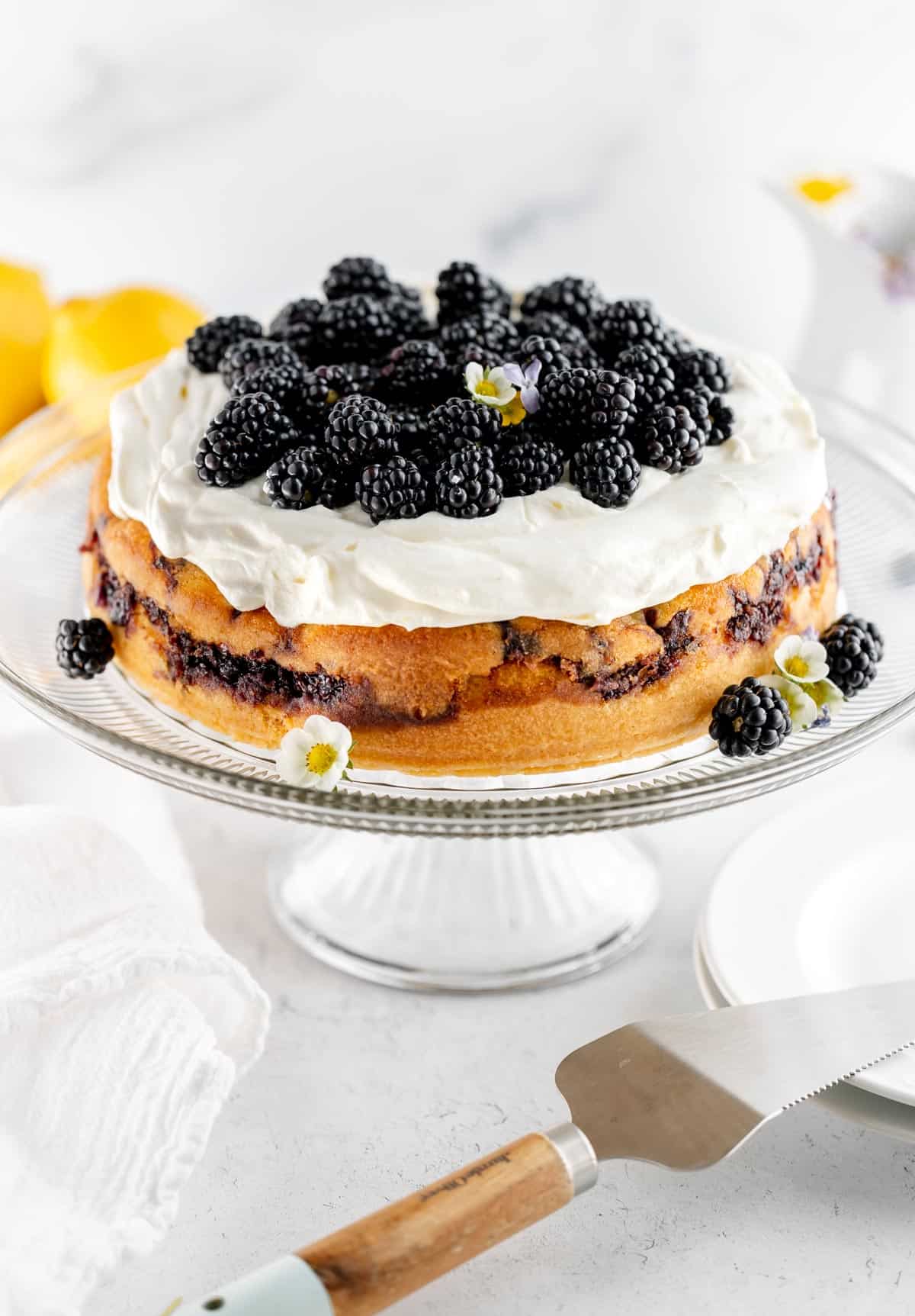 Blackberry Lemon Cake on a cake stand with Lemon Whipped Cream and fresh blackberries. A cake slicer is ready to cut a slice with a stack of plates.