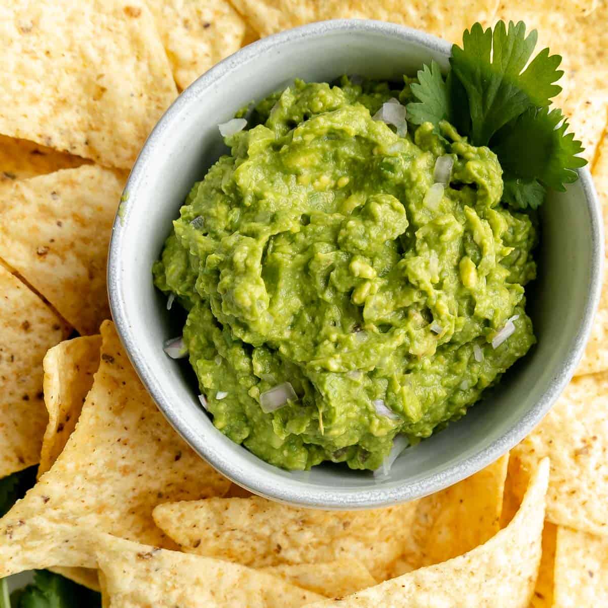 Image of guacamole in a white bowl surrounded by chips.