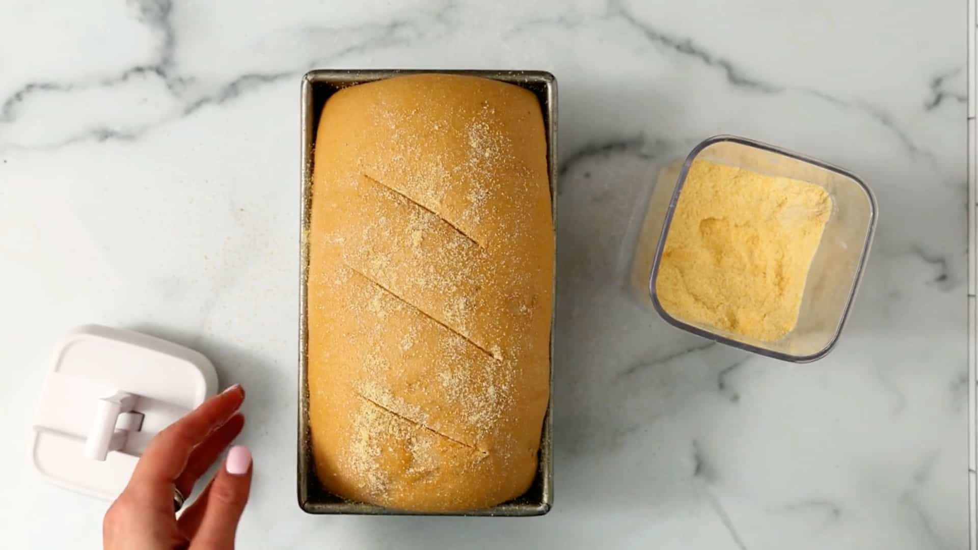 A loaf of unbaked bread dough in a pan, topped with cornmeal and slashed, sits on a marble surface next to a hand and a container of cornmeal.